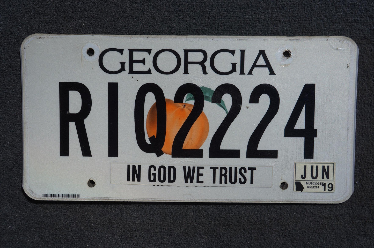 2019 Georgia Graphic License Plate - RIQ 2224