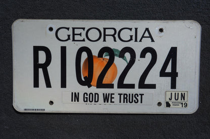 2019 Georgia Graphic License Plate - RIQ 2224