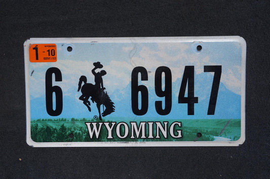 2010 Wyoming Graphic Rodeo Cowboy & Horse Bucking Bronco Blue License Plate
