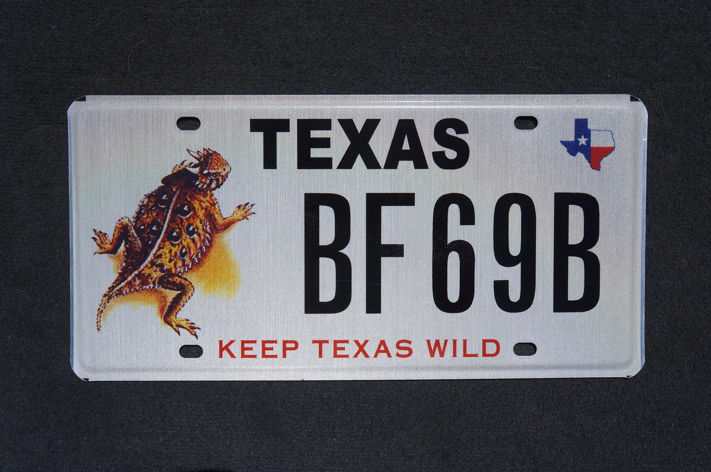 Texas License Plate LIZARD HORNY TOAD - Keep Texas Wild