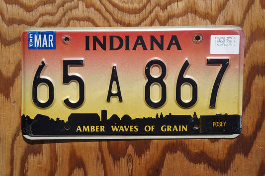 1995 Indiana Amber Waves of Grain Pink Yellow License Plate