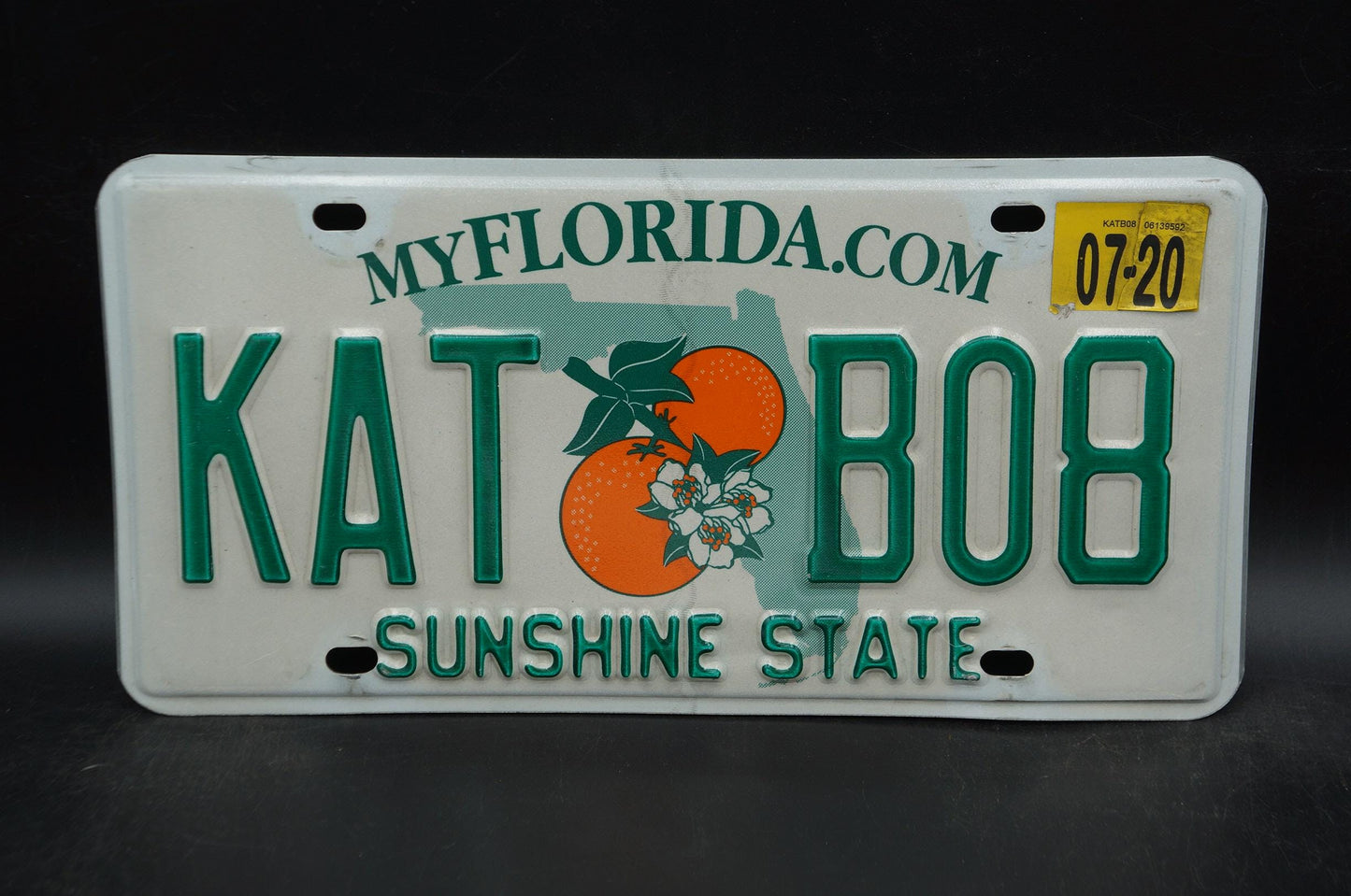 2020 Florida Double Oranges License Plate # KAT B08 - Cat Kate Katie Katherine