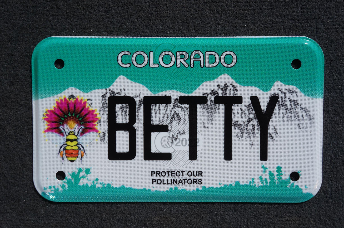Expired Colorado Vanity MOTORCYCLE License Plate - BETTY - Elizabeth Betsy Bette Hetty