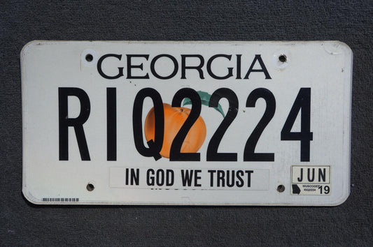 2019 Georgia Graphic License Plate - RIQ 2224