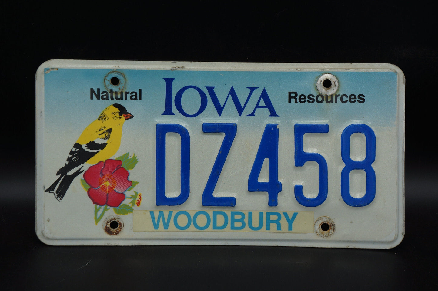 Iowa NATURAL RESOURCES Graphic License Plate - Yellow Bird Red Flower