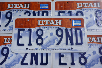 One or More - UTAH Greatest Snow On Earth SKIER Life Elevated License Plate