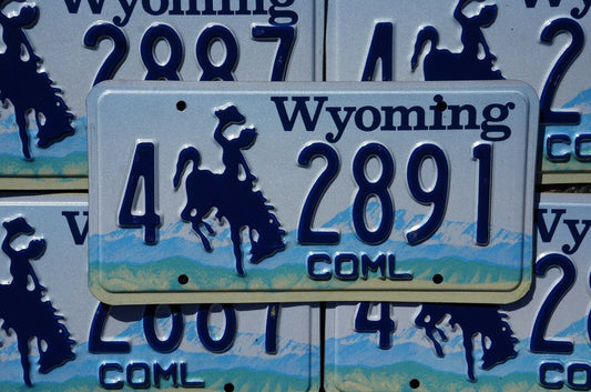 ONE or MORE Embossed WYOMING Rodeo Cowboy Horse License Plate Plates - Very Good Original