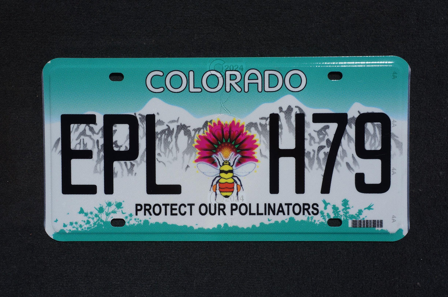 2024 Colorado Bee Flower License Plate: Protect Our Pollinators
