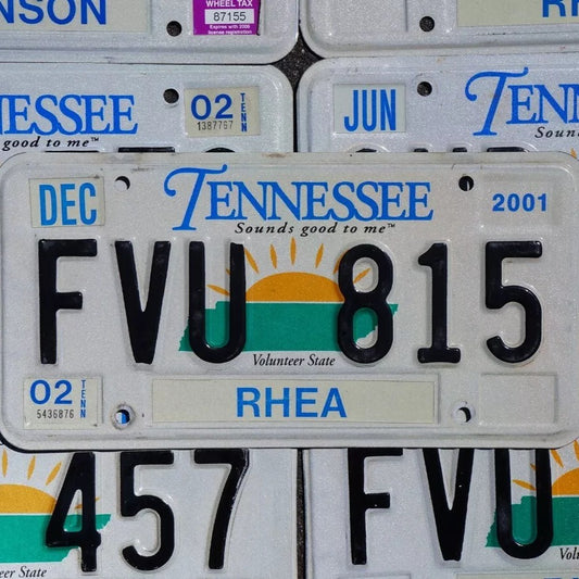 One or More - TENNESSEE SUN GRAPHIC EMBOSSED VINTAGE License Plate