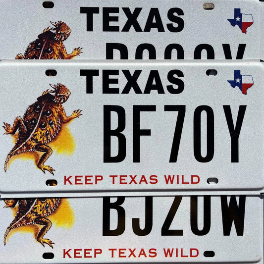 Texas KEEP TEXAS WILD Graphic License Plate - HORNY TOAD - LIZARD